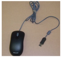 mouse